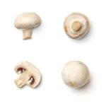 Six mushrooms are pictured against a white surface.