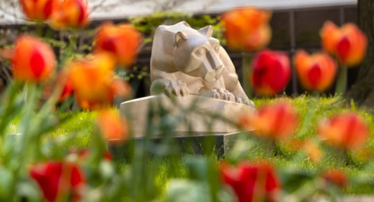 Department of Medicine names Exceptional Performance Award recipients for September