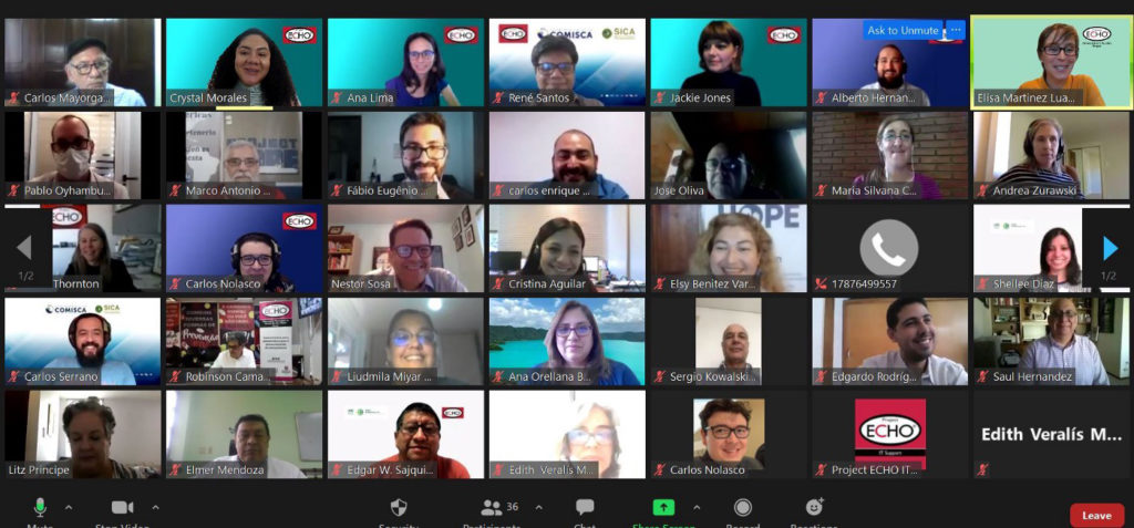 A screenshot shows more than 30 participants in a Zoom meeting