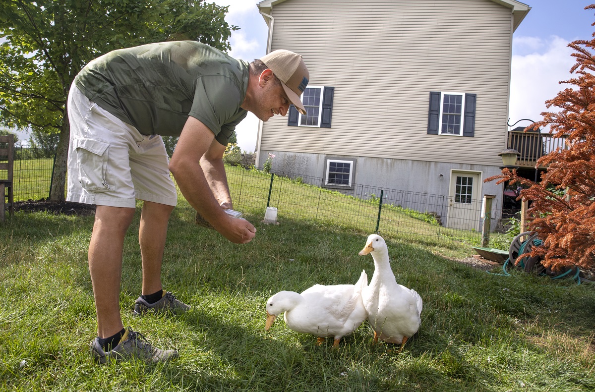 Man leans over and feeds two ducks in his backyard. He is wearing a baseball cap, short-sleeved shirt, shorts and sneakers. A house is in the background.
