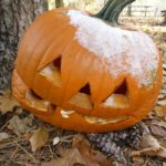 A jack-o-lantern is covered with snow. It sits next to a tree on top of leaves, pine needles and pine cones.