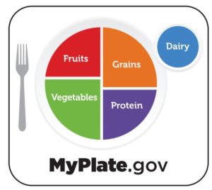 A diagram from the U.S. Department of Agriculture that shows what food groups (fruits, vegetables, grains, proteins and dairy) make up a healthy meal.