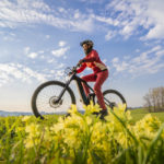 Photo of a person biking with springtime flowers in foreground.