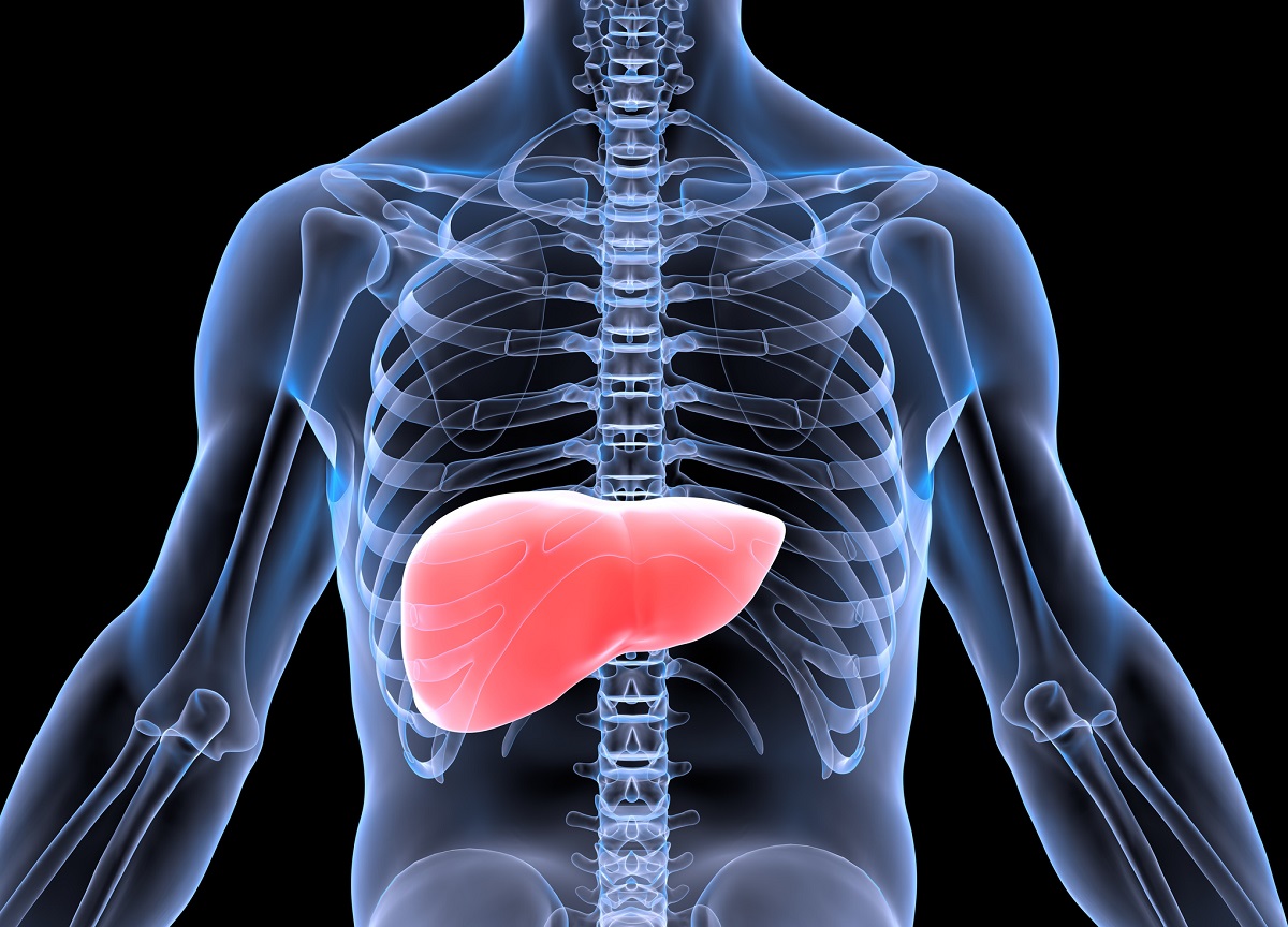 The Medical Minute: The connection between alcohol and liver ...