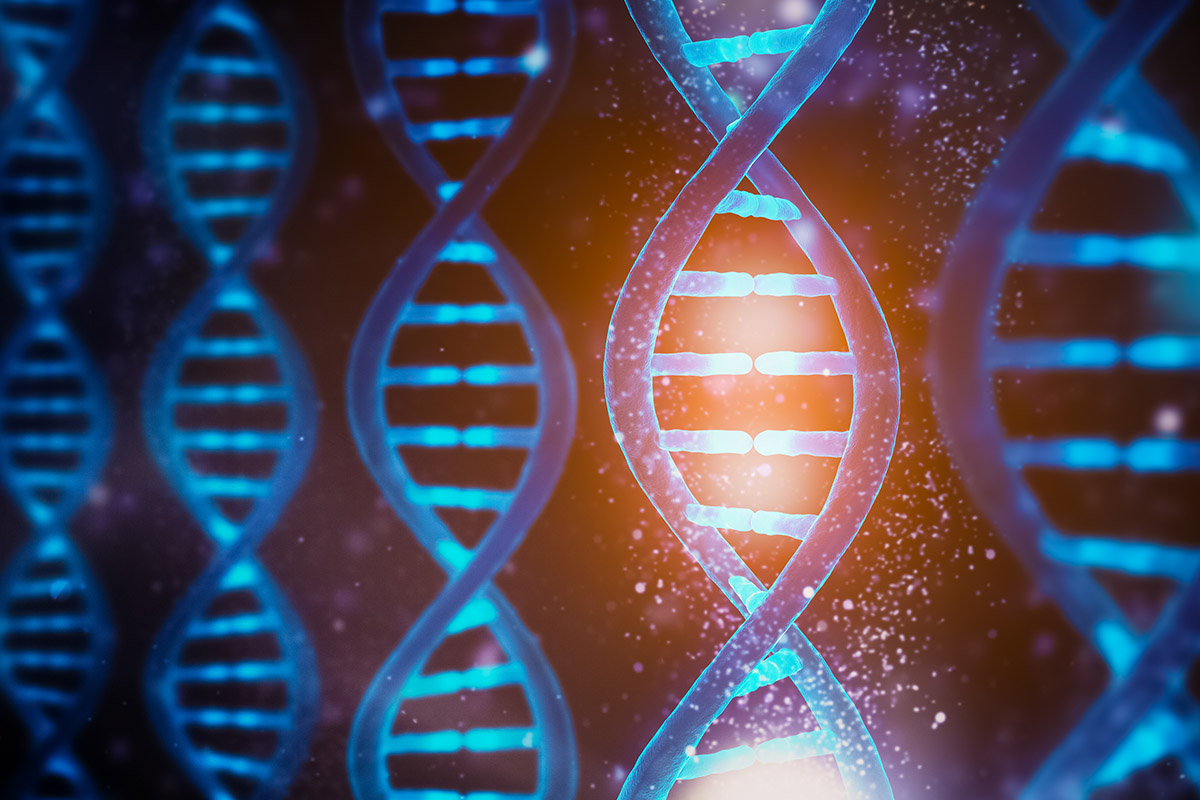 Close up image of DNA strands showing the double helix.