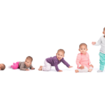 Baby development stages - baby laying, baby on stomach, crawling, sitting and finally standing.