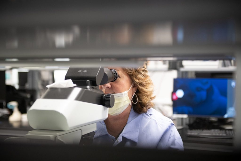 Medical lab scientist Janice Hibshman looks in a microscope in the lab at Penn State Health Lancaster Medical Center. She is wearing a face mask and scrubs.