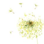 Illustration of a dandelion with petals floating away