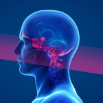 A graphic image of a person in profile shows the internal structures of their brain and spine.