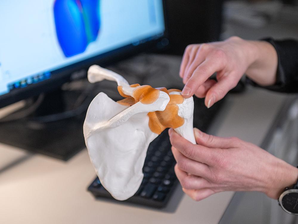 Two hands hold a model of a rotator cuff in front of a computer.