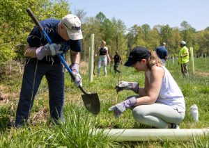 Two volunteers in the foreground use shovels and other tools to plant native seedlings in a reforestation area of the Hershey Medical Center campus during an annual tree-planting ceremony on Friday, April 21. 