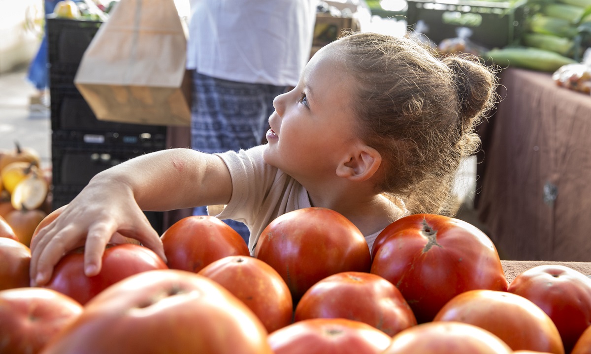 A child picks over a pile of tomatoes.