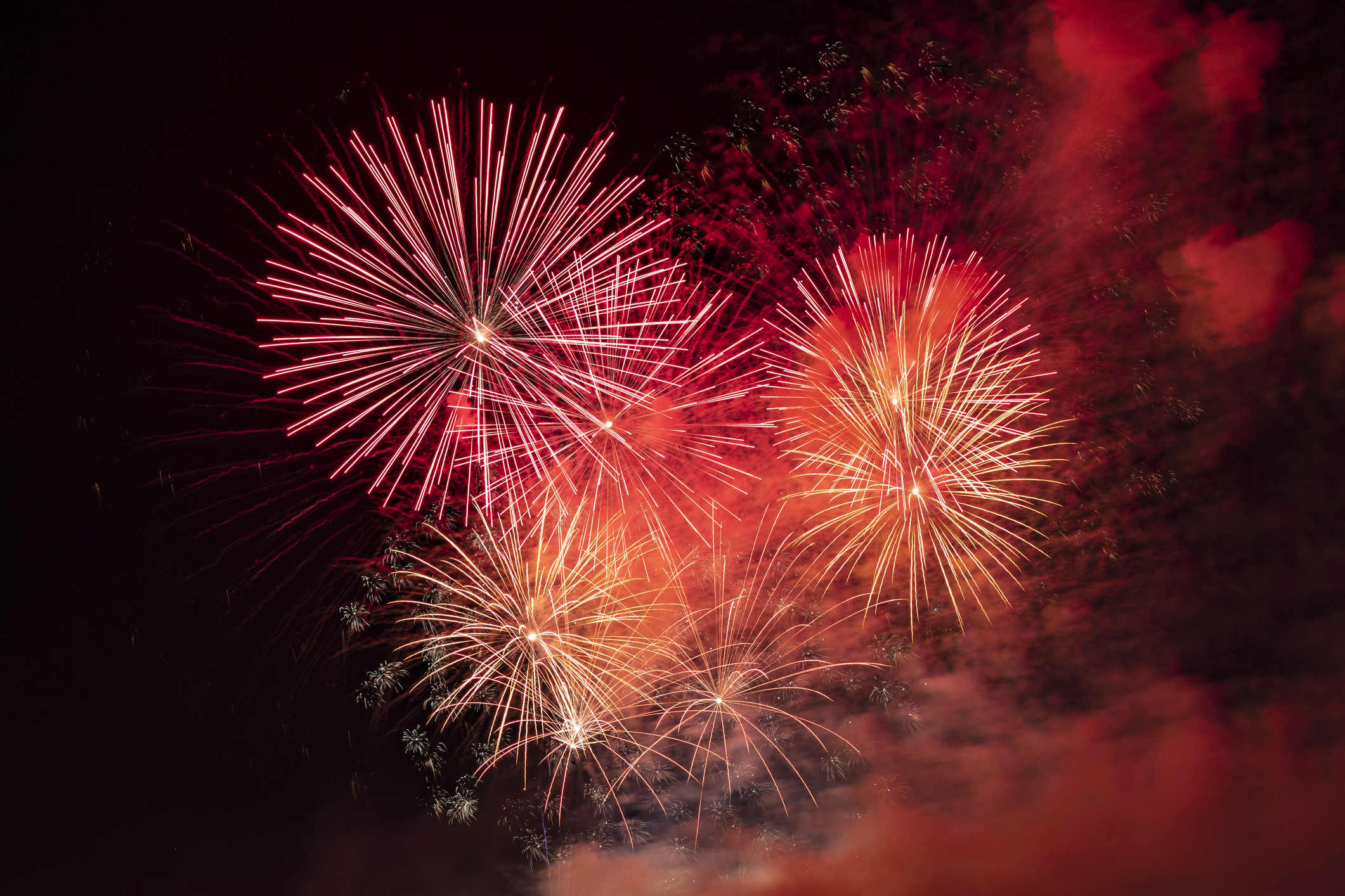 Fireworks are shown exploding in the sky.