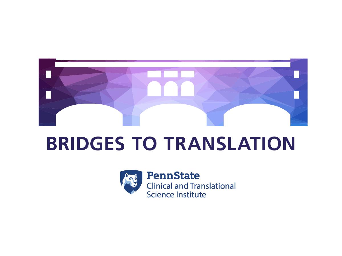 Bridges to Translation Funding Available