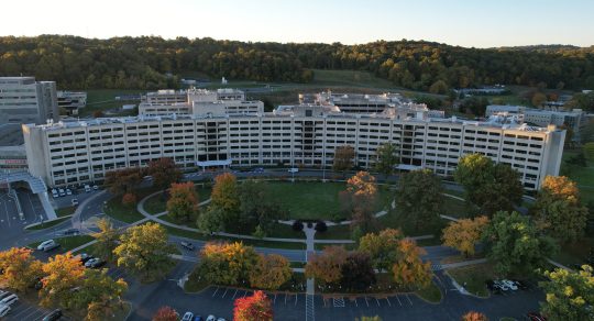 Ten College of Medicine students compete in national AMA Research Challenge