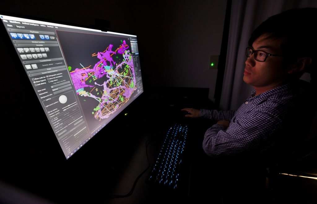 A man looks at a cellular image on a computer screen. 