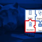 Four puzzle pieces in a square. The top left piece contains the word "Screen," the top right piece contains the word "Diagnose," the bottom left piece contains the word "Document" and the bottom right piece contains the word "Treat." The piece with the word "Document" is highlighted. This graphic is overlaid on a background with Penn State Nittany Lion statue.