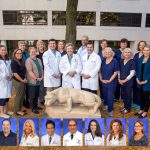 Group of people in business apparel, physician coats or scrubs stands in front of a building and a tree. A Penn State Nittany Lion statue is on the ground in front of the group. Portraits of seven of the individuals in the photo are overlaid across the bottom.