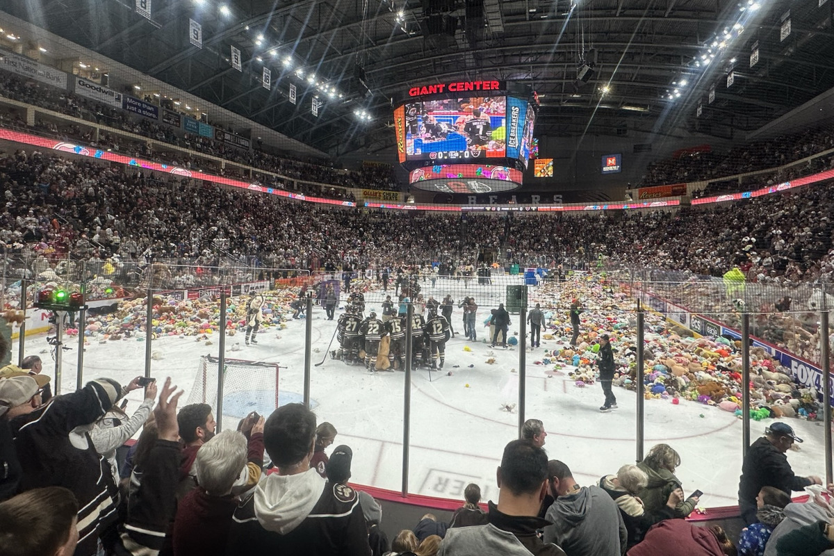 At a hockey game in an indoor arena, hockey players skate around on the ice amid thousands of stuffed animals that fans had tossed onto the ice.