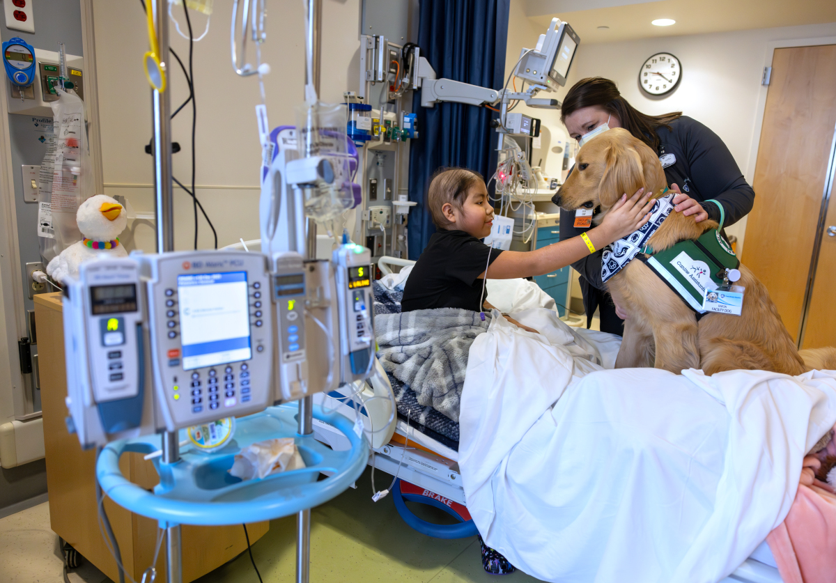 A dog sits on a hospital bed with a pediatric patient.