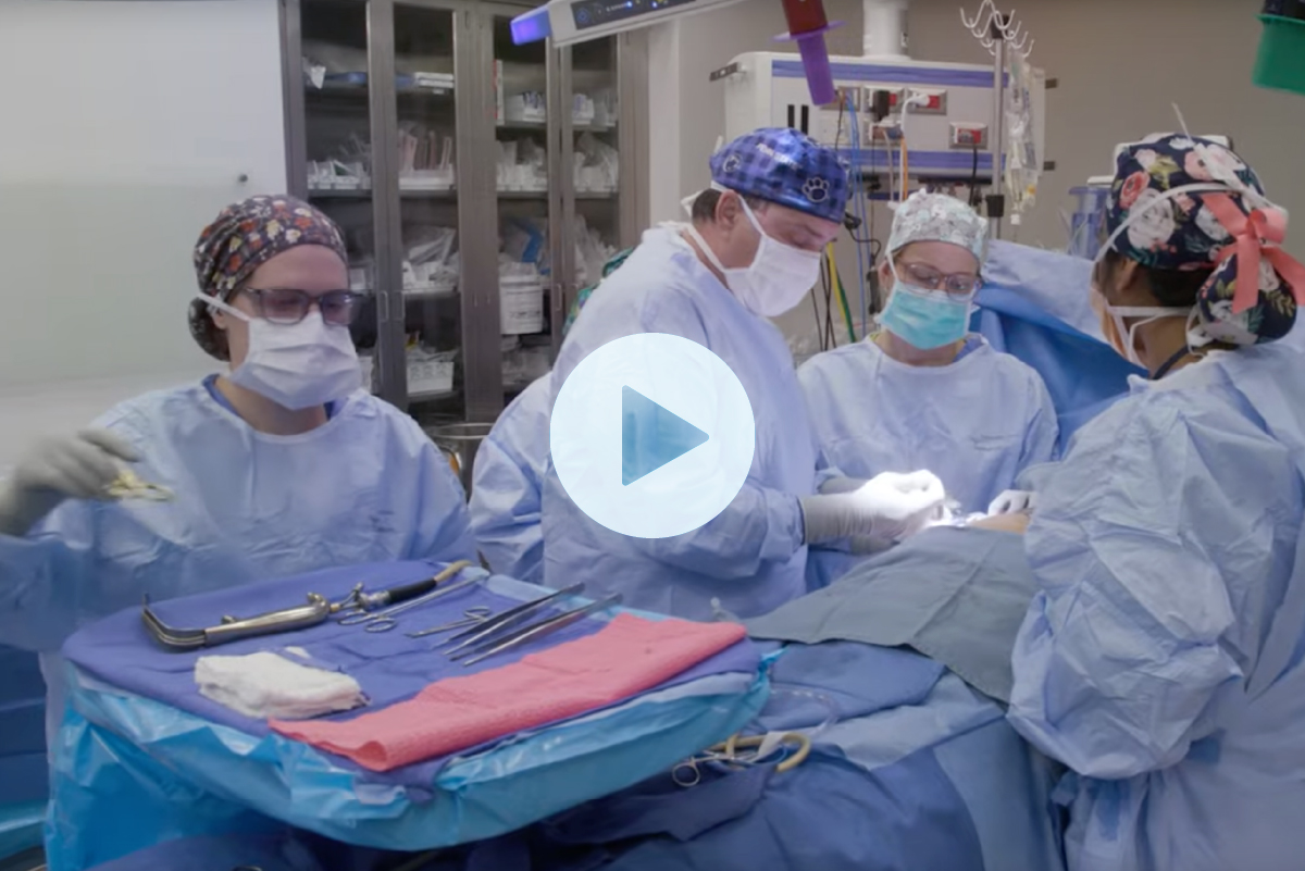 Four people in scrubs and surgical masks around a patient in an operating room while the surgeon in the center operates