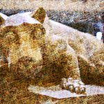 The Nittany Lion perches on its pedestal. The mosaic-style image is composed of individual photographs of Penn State Health employees.