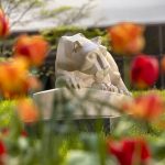 Nittany Lion statue in courtyard of Penn State College of Medicine with blooming flowers in the foreground