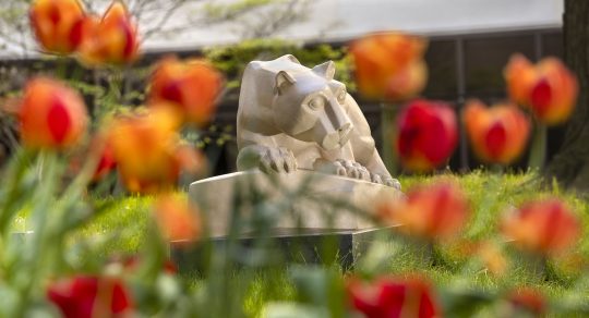 Have your voice be heard: Become a patient partner