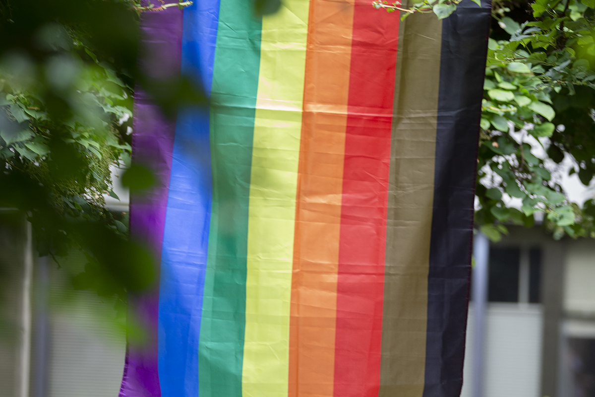 A Pride flag hanging vertically among trees.