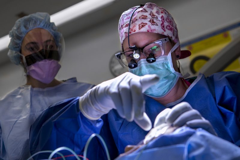 A surgeon and a colleague perform surgery on a patient. Both wear caps, masks, gowns and glasses.