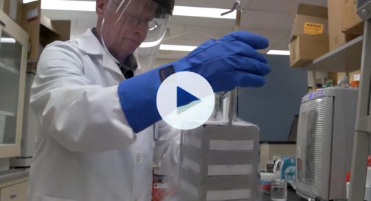 Research that makes vaccines possible