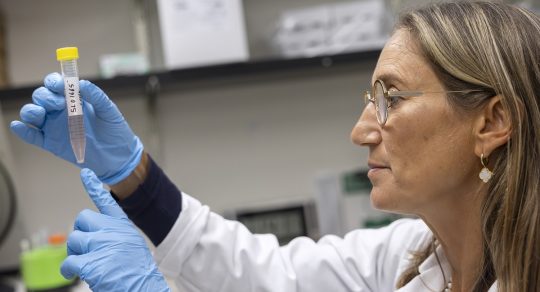 Penn State advances pediatric cancer research through new targeted therapy collaboration