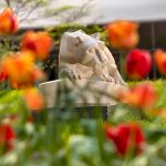 A statue of the Penn State Nittany Lion among grass and flowers and a building in the background.