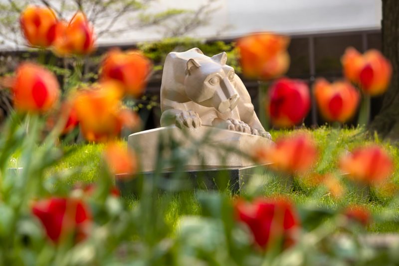 A statue of the Penn State Nittany Lion among grass and flowers and a building in the background.