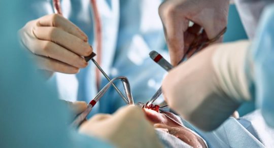 $3M grant seeks bioprinted solution for reconstructive surgery’s blood problem