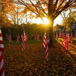 A yard with one large tree has American flags sticking in the ground. There is a house in the background. The sun shines just over the horizon.