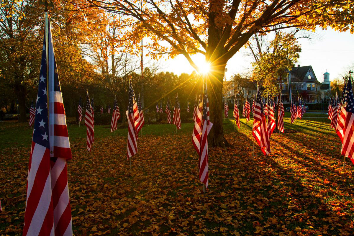 A yard with one large tree has American flags sticking in the ground. There is a house in the background. The sun shines just over the horizon.