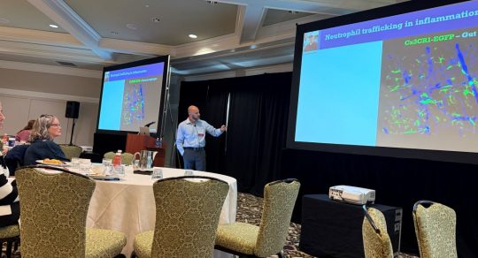 IBD Research Symposium brings national experts, Penn State investigators together