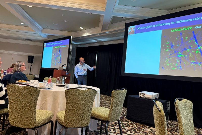 A man stands at the center of a conference room gesturing to a projector screen.