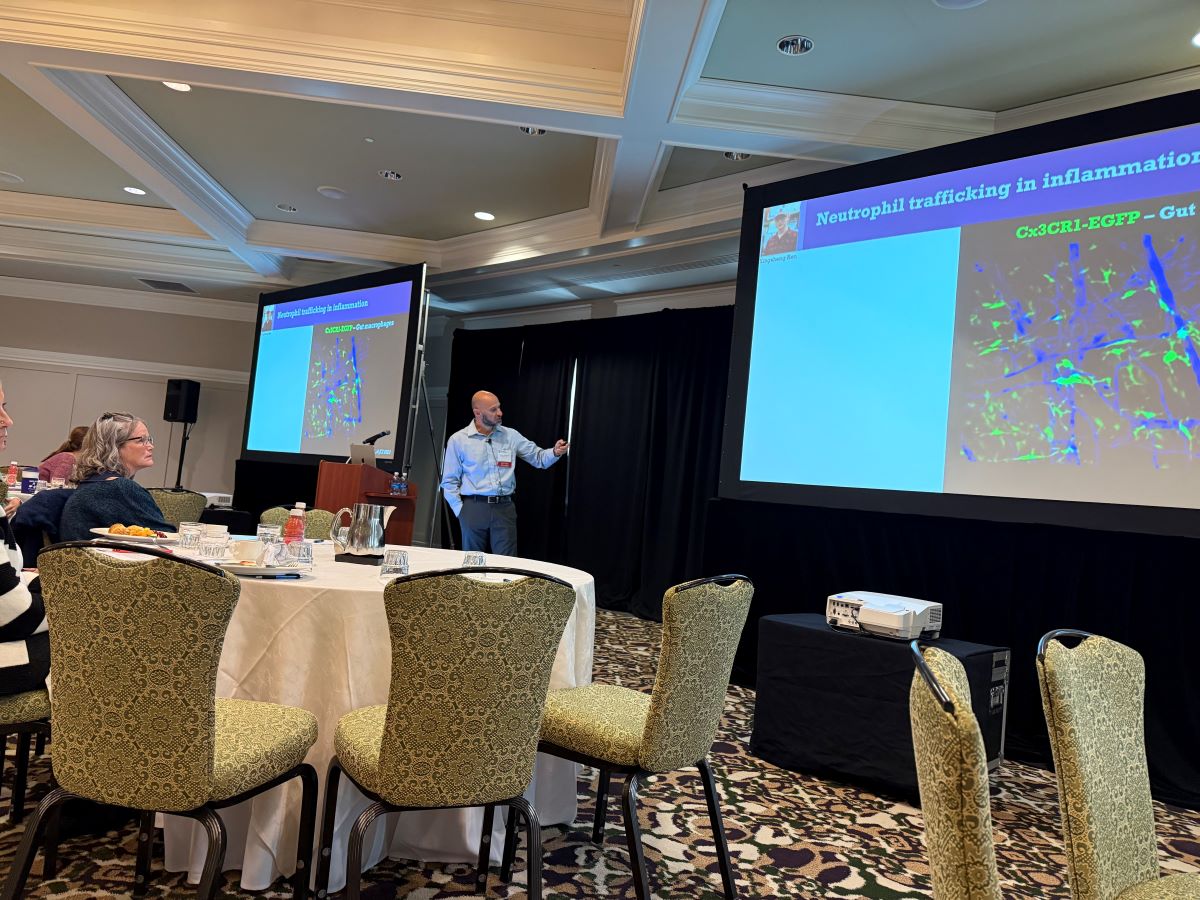 A man stands at the center of a conference room gesturing to a projector screen.