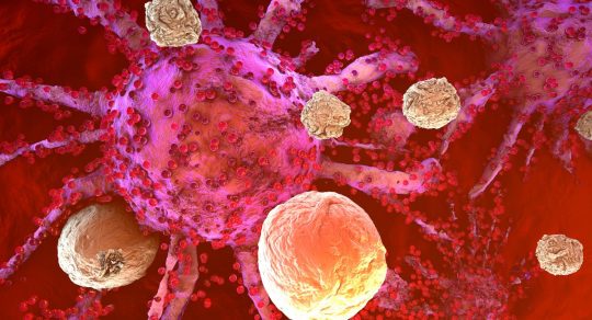 Cancer-fighting bacterial product ‘cocktails’ may offer personalized treatment