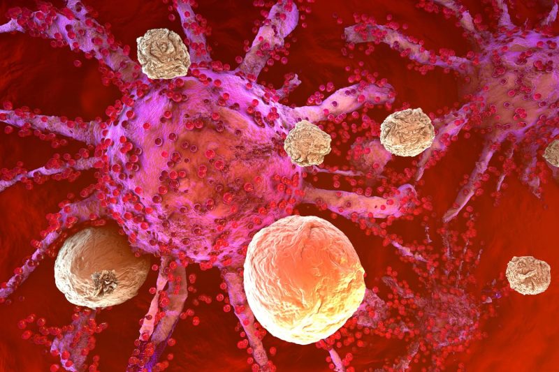A 3D model of cancer cells being attacked by the immune system cells found in the body.