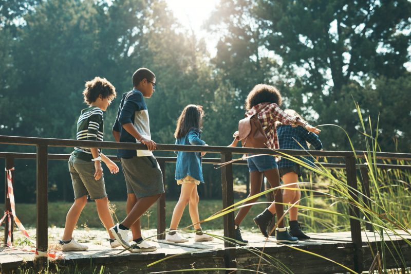 Five children walk across a wooden walking bridge. Various trees and weeds are in the foreground and background.