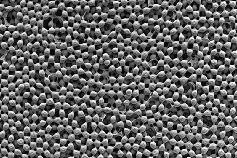 A zoomed in photo material taken from a microscope that showcases the material's unique, oxygen-rich structure