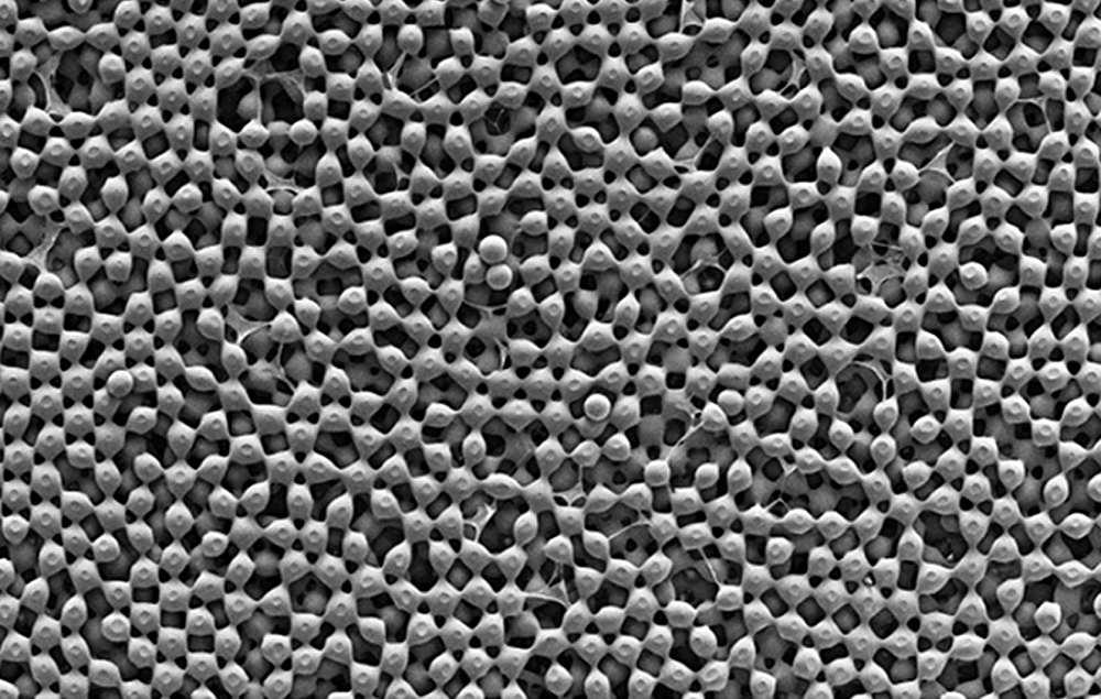 A zoomed in photo material taken from a microscope that showcases the material's unique, oxygen-rich structure