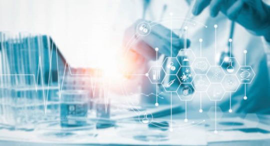 Momentum Awards spark new interdisciplinary collaborations across basic science programs