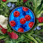 Cyclosporiasis parasite in Petri dish on top of leafy greens and berries. Credit: Getty Images | wildpixel