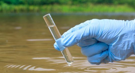 Q&A: Are environmental chemicals and endometrial cancer linked?