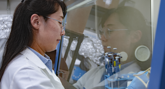 Making pediatric cancer more ‘visible’ boosts immunotherapy response