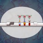 Open image in modal: a graphic rendering of pilot rapid test for syphilis on a background graphically rendering bacterium